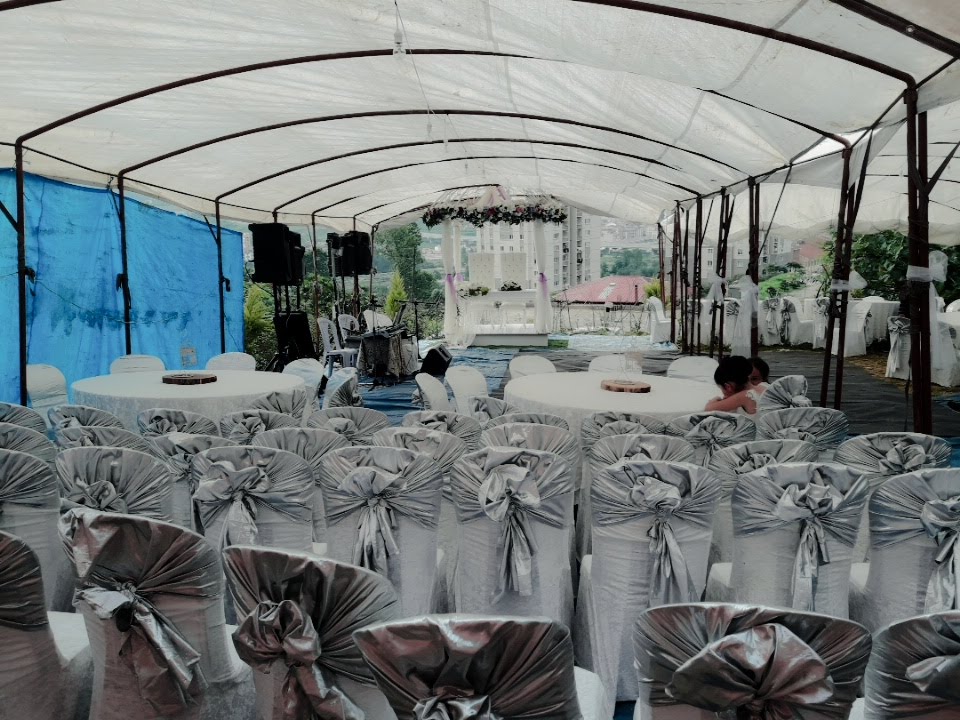 Asil Organizasyon