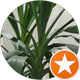 Nurdan Cure profil fotoğrafı