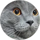 Su profil fotoğrafı