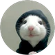 Servet Arslan profil fotoğrafı