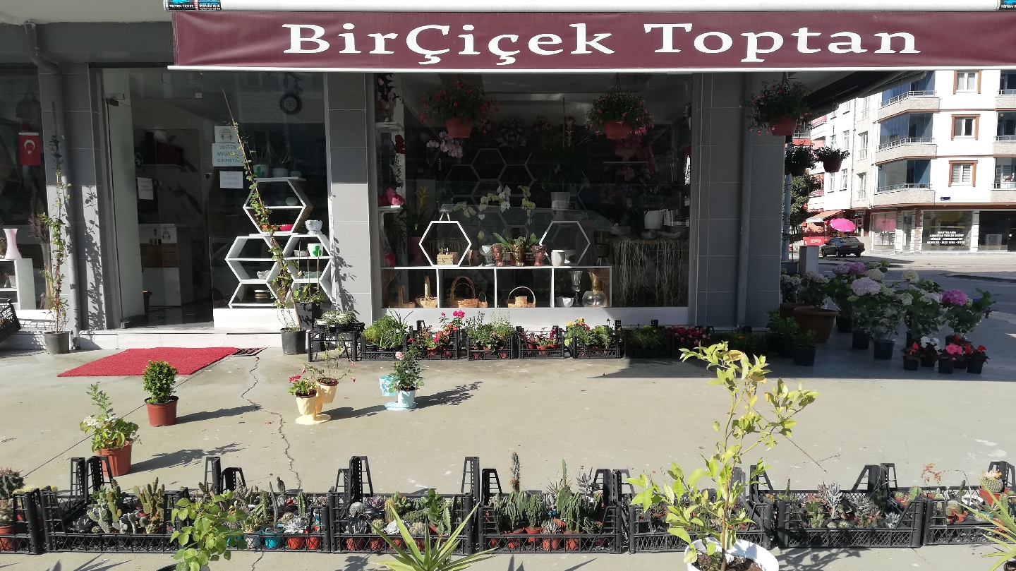 BirÇiçek
