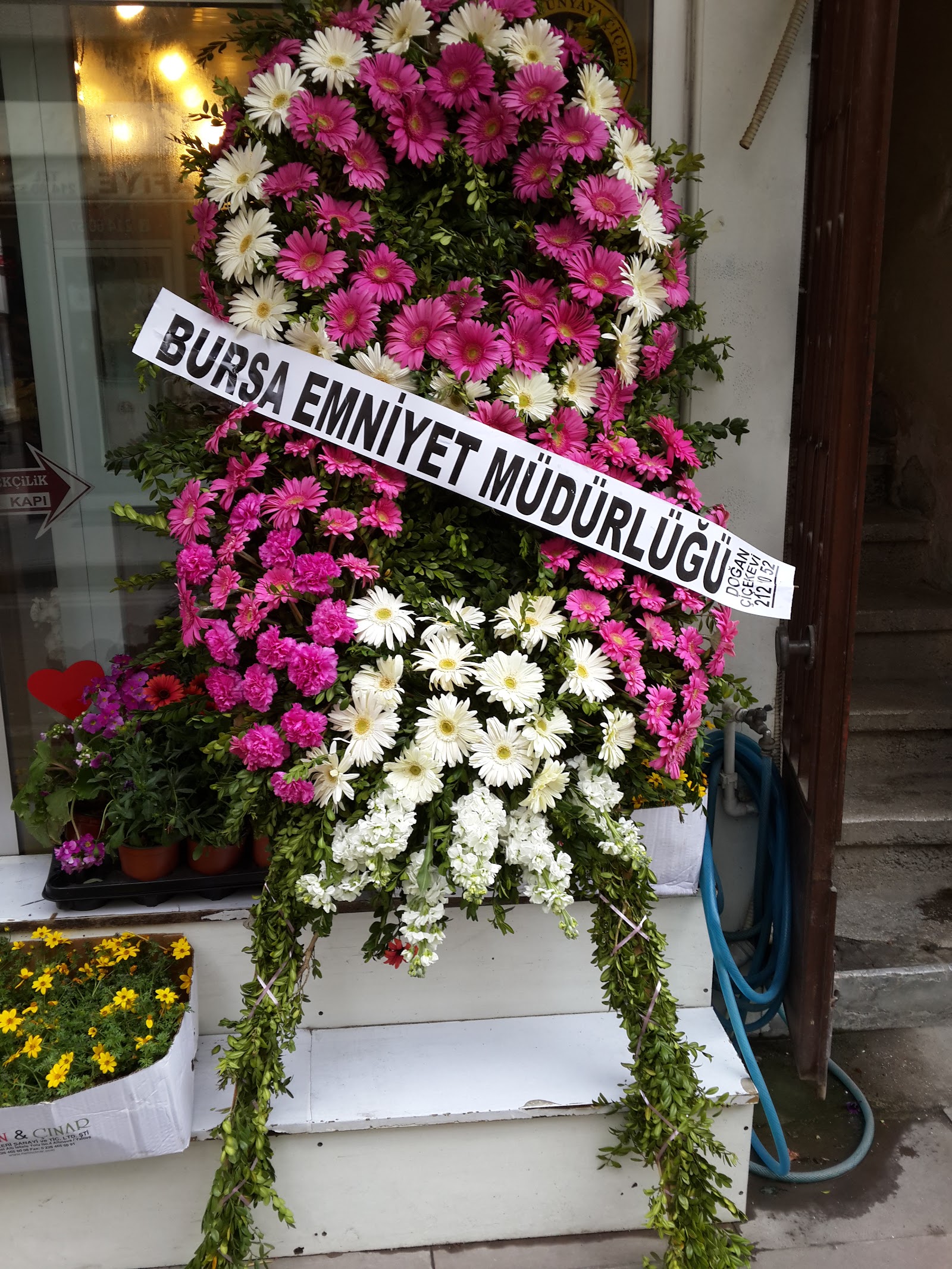 Doğan Çiçekçilik