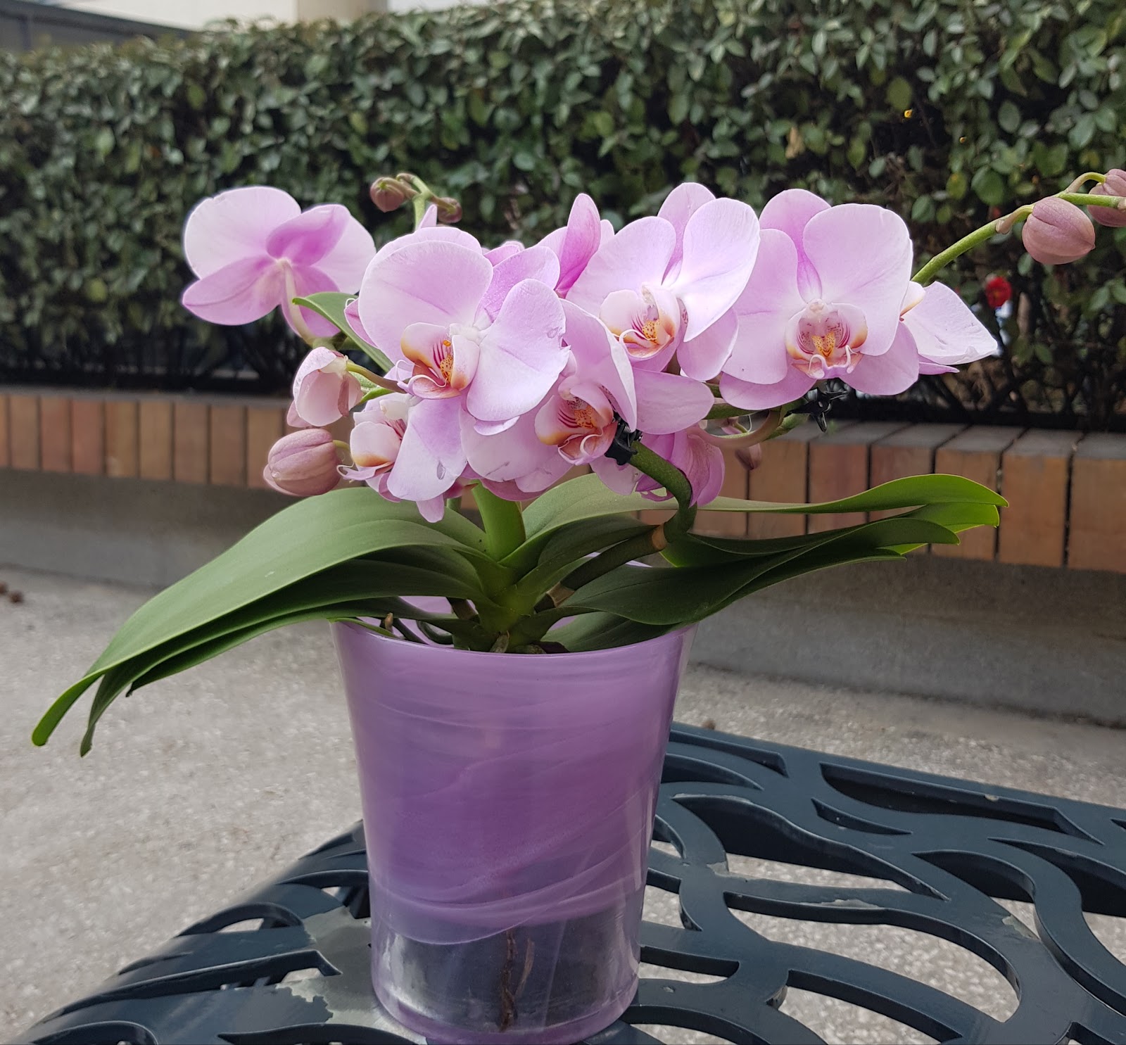 Gonca Florist