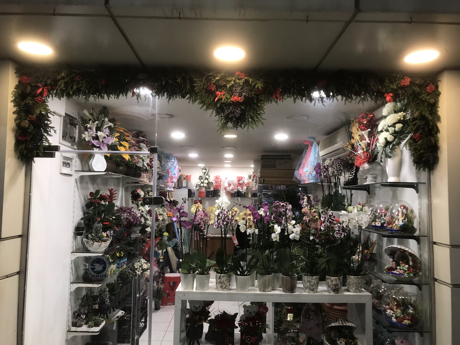 Kardelen Çiçekçilik