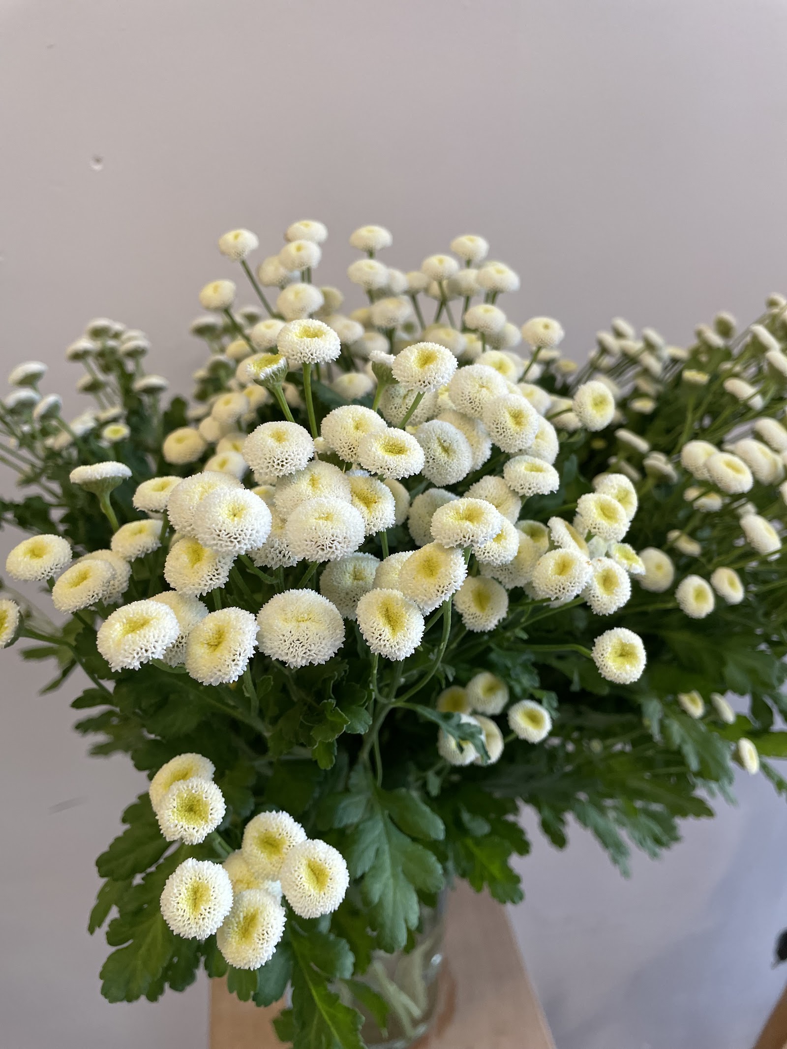 Lilyum Flora | Ordu Altınordu Çiçekçi & Peyzaj Tasarım