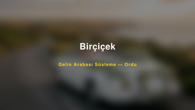 Birçiçek Ordu Gelin Arabası Süsleme