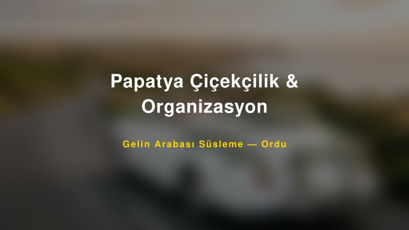 Papatya Çiçekçilik & Organizasyon Ordu Gelin Arabası Süsleme